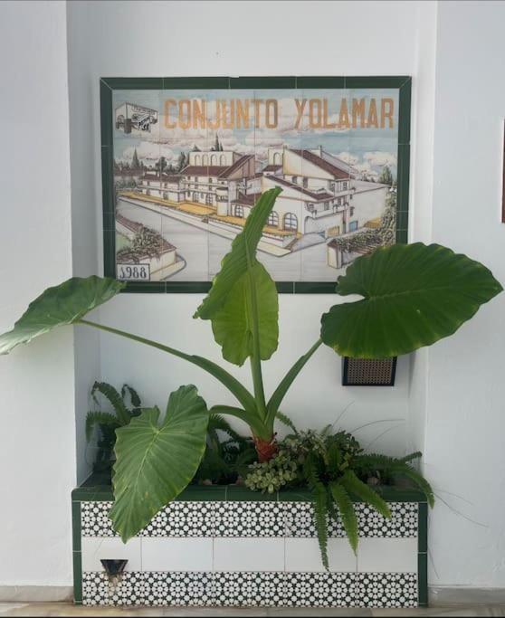 Love Rent4 Malaga Yolamar ベナルマデナ エクステリア 写真